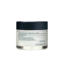PYUNKANG YUL Calming Moisture Barrier Cream - Zklidňující a vyrovnávací pleťový krém