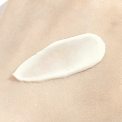 ROUND LAB Birch Juice Sunscreen SPF50+/PA++++ - Hydratační opalovací krém s březovou mízou