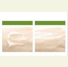 NATURE REPUBLIC Young Green Tea Mild Cream - Lehký gelový hydratační krém