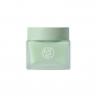 KAINE Green Calm Aqua Cream - Zklidňující gelový krém s pelyňkem a panthenolem