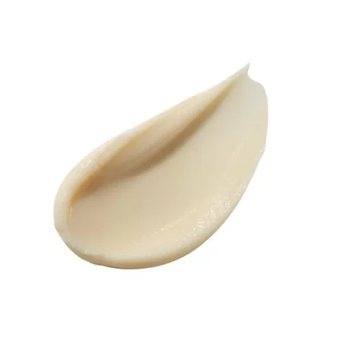 CHOGONGJIN Youngan Jin Overnight Cream - Hydratačný nočný krém